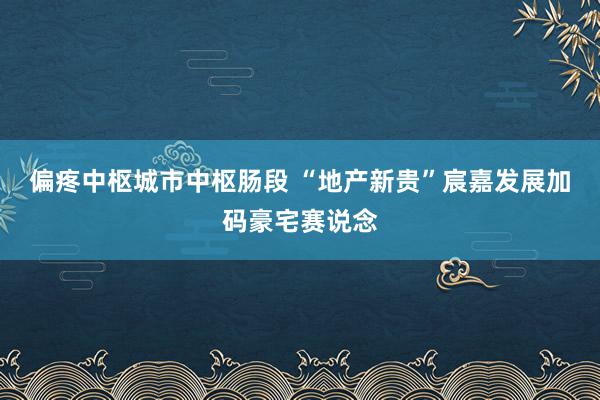 偏疼中枢城市中枢肠段 “地产新贵”宸嘉发展加码豪宅赛说念