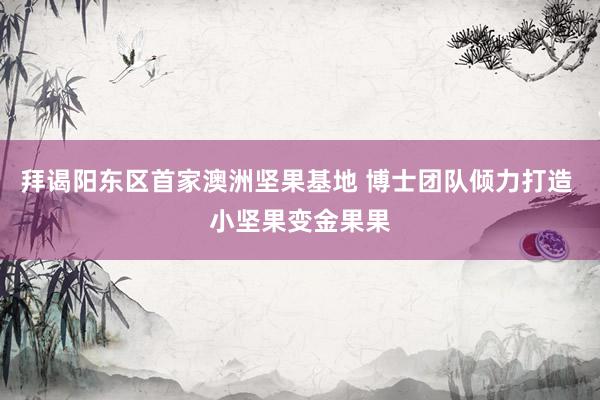 拜谒阳东区首家澳洲坚果基地 博士团队倾力打造 小坚果变金果果