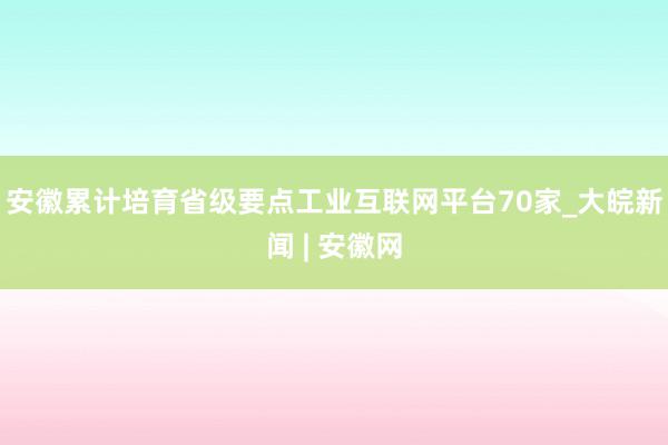 安徽累计培育省级要点工业互联网平台70家_大皖新闻 | 安徽网